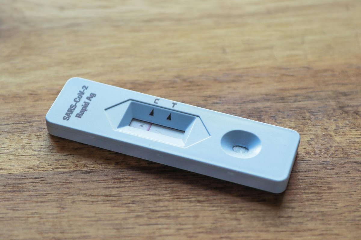 künstliche intelligenz vergleich - Opus 4.6 vs GPT-5.3: 72-Stunden-Praxistest mit überraschenden Ergebnissen